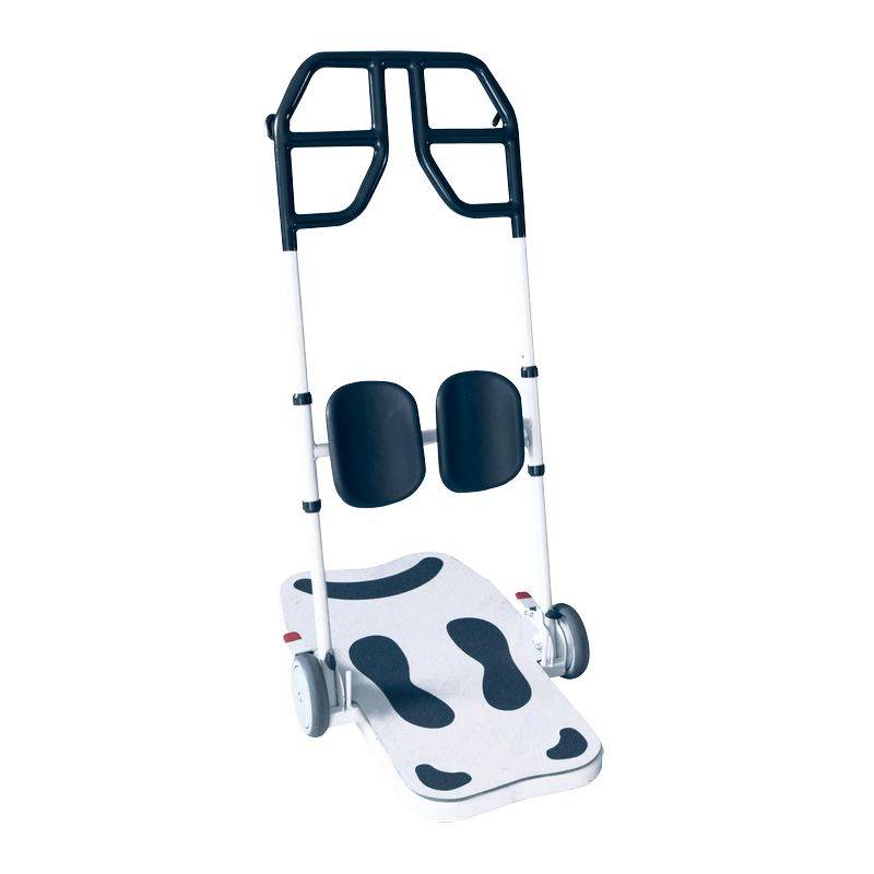 guidons de transfert pour personnes fragiles à NEUFCHATEL